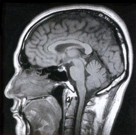 生体情報工学研究室