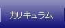 カリキュラム