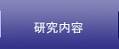 研究内容