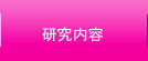 研究内容