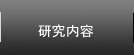 研究内容