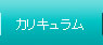 カリキュラム