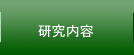 研究内容