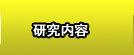 研究内容