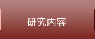 研究内容