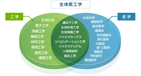 生体医工学の分野