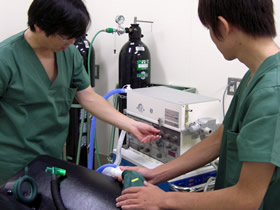 入学後に生体工学技術者になるか臨床工学技士になるか選択できる