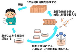 course-06