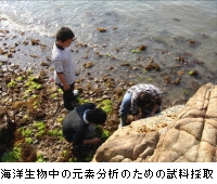 environmental