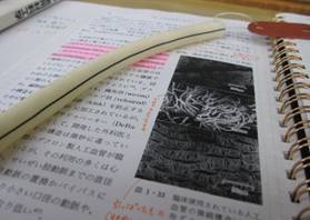 fukei08_clip_image002_0005