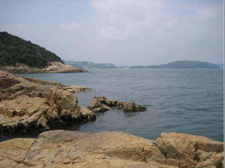staff_MS_clip_image004