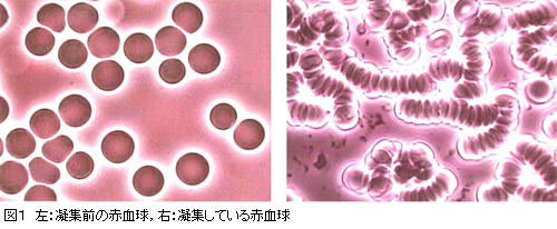 vol02-01
