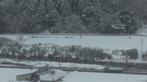 20180219_企業見学会-1