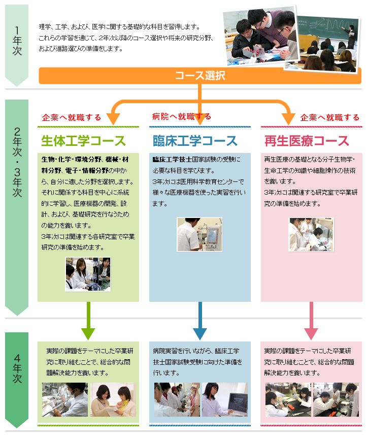 年次ごとの学びのポイント