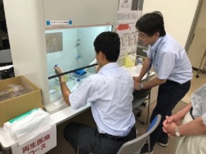 写真2（細胞培養）