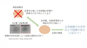 JBB研究概要